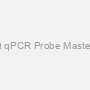 AceQ qPCR Probe Master Mix
